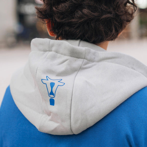 Run the Alps Multicolor Hoodie